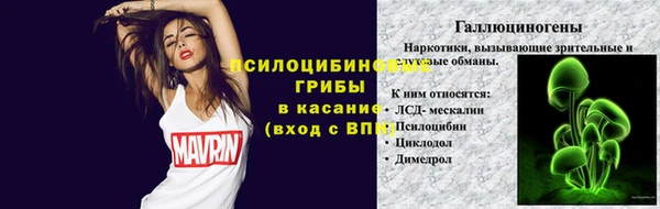 амф Инта