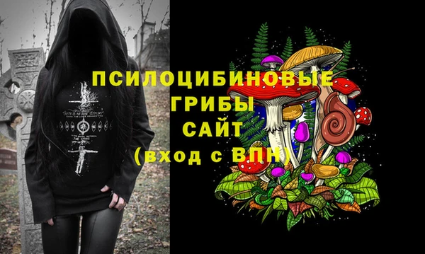 сатива Каменск-Шахтинский