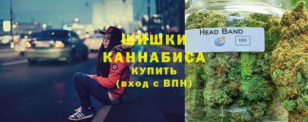apvp Каменка