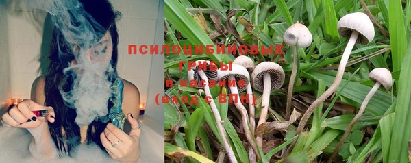 героин Инсар
