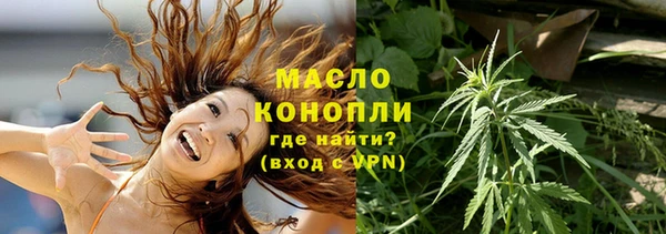 apvp Каменка