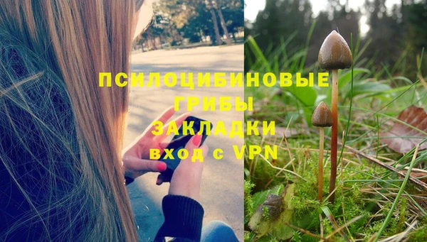 apvp Каменка